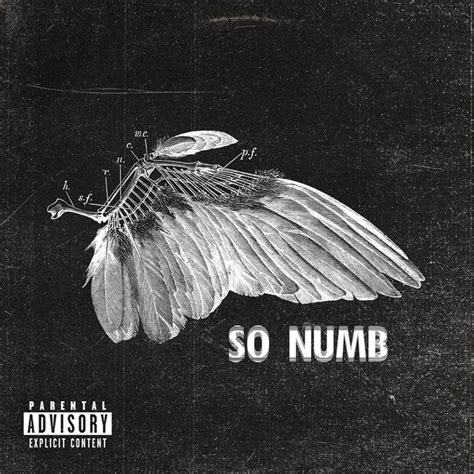 Songs Similar to So Numb by TX2 - Chosic