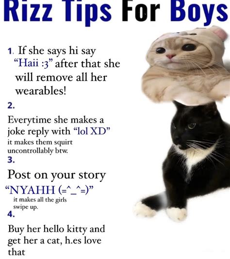 w rizz tips in 2023 | Silly memes, Funny images, Silly cats