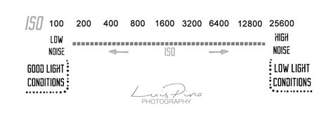 What is ISO in Photography? - Luis Pina Photography