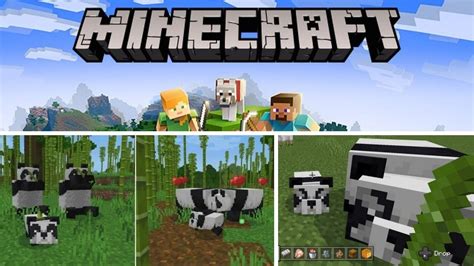 How to Tame Pandas in Minecraft? (2024 Simple Guide)