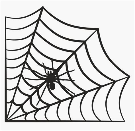 Spider Web - Spider Web Svg, HD Png Download , Transparent Png Image ...