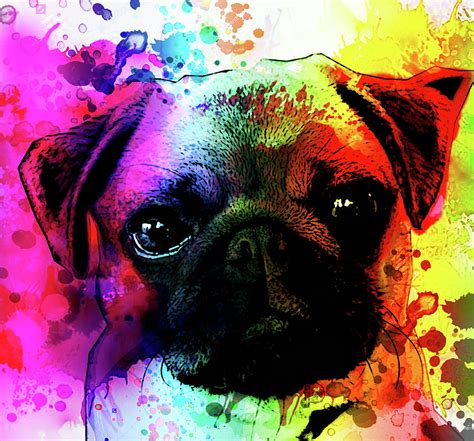 Giant Pug Watercolor Print Painting by Robert R Splashy Art Abstract Paintings | Pixels