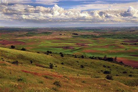 View Of Palouse From Steptoe Butte Photograph by Michel Hersen - Fine Art America