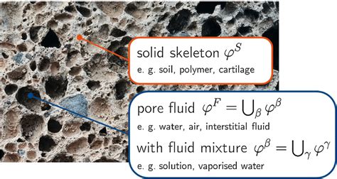 Exemplary pore structure of a porous stone and identification of... | Download Scientific Diagram