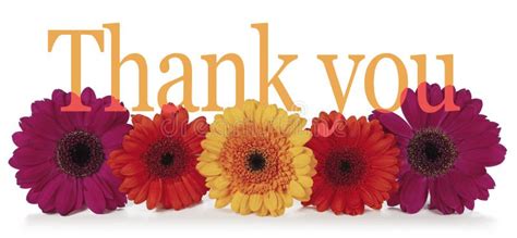 Saying Thank You With Flowers Stock Photo - Image of five, blessed ...