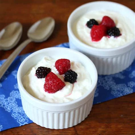 BEST Easy Homemade Greek (or Regular) Yogurt - The Daring Gourmet