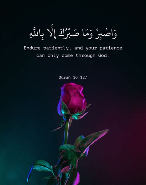 Quran Quote About Patience | Beautiful View