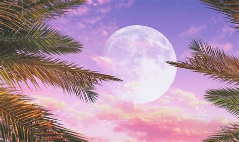 Pink Moon meaning: What is the meaning behind the Pink Moon? | Science | News | Express.co.uk