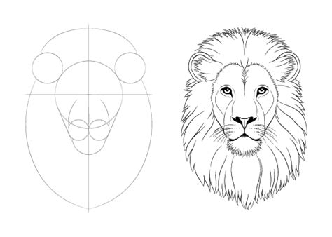 How to Draw Lion Face & Head Step by Step - EasyDrawingTips