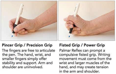 Whole-Brain Living and Learning: Understanding the Palmar (Hand) Reflex ...