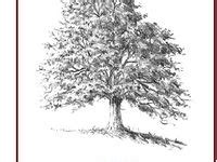 19 Drawing trees ideas | tree drawing, tree art, drawings