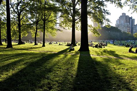 Best picnic spots in central park for a picturesque outdoor meal – Artofit