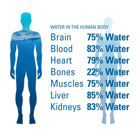 Health Benefits of Drinking Water – Core Balance Movement