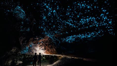 Best places to see bioluminescence in 2022 – Lonely Planet - Lonely Planet