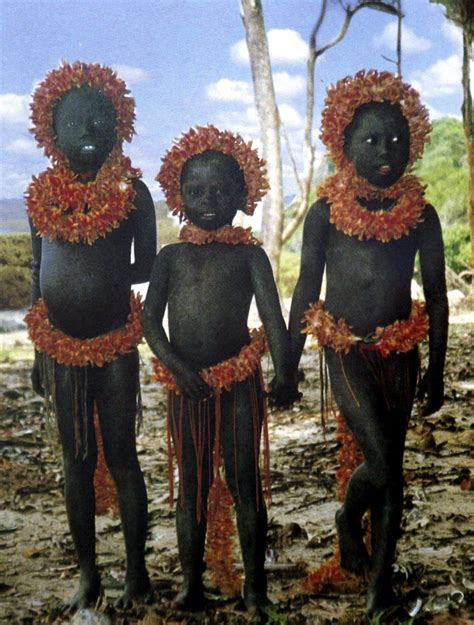 India's top court bans tourism near Andaman tribe