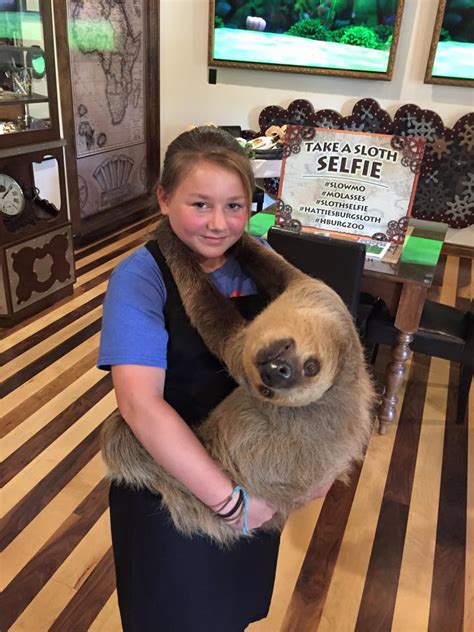 Hattiesburg Zoo - Our first Sloth Experience is in the...