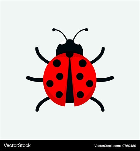 Cute ladybug drawing graphic Royalty Free Vector Image