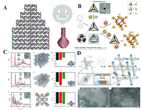 2d 3d dna nanostructures