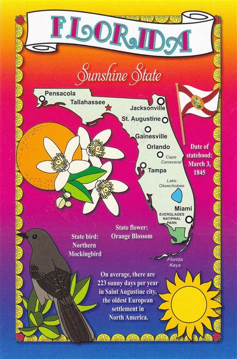 Amazon.com : STATES6FLO - FLORIDA - SUNSHINE STATES, State Flower is ...