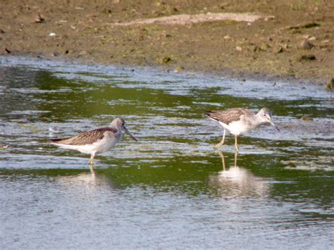 North Cave Wetlands