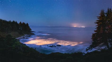 Blue Tears bioluminescence Vancouver Island - backiee