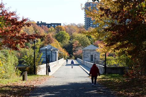 Silver Lake Park : NYC Parks