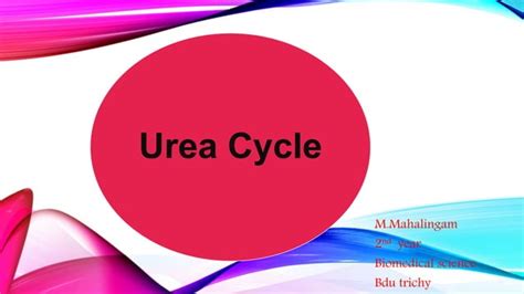 urea cycle & its regulation | PPT