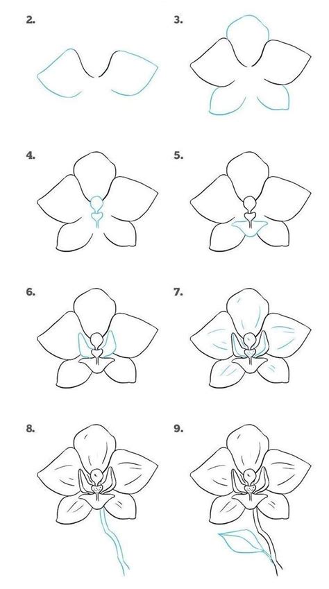 how-to-draw-a-flower-step-by-step-diy-tutorial-easy-pictures-to-draw-white-background | Flower ...