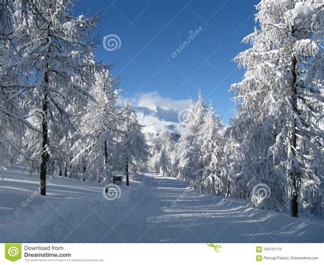 Heavy snowfall stock image. Image of tourist, avenue - 104737173