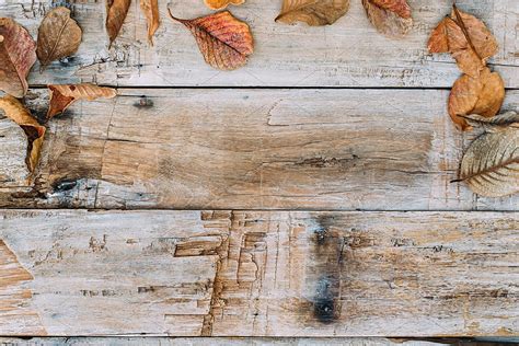 Thanksgiving backgrounds featuring autumn, fall, and wooden, rustic ...