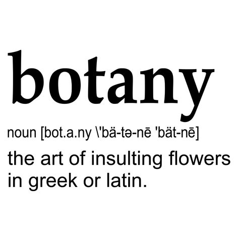 Botany Definitions noun 6428337 Vector Art at Vecteezy