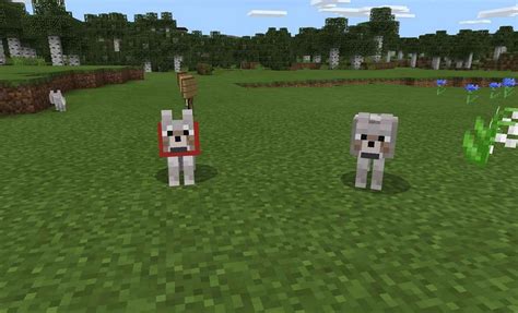 Where to find wolves in Minecraft 1.18