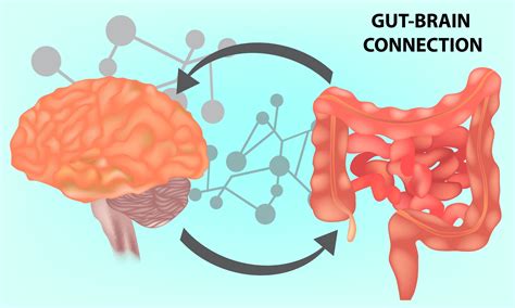 History and Evolution of Disorders of Gut-Brain Interaction and the Rome Foundation - DrossmanCare