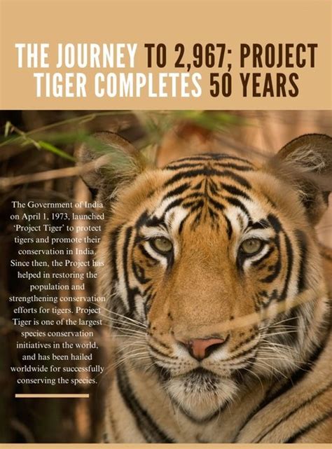 Tiger Conservation Efforts – Project Tiger, etc. - Civilsdaily