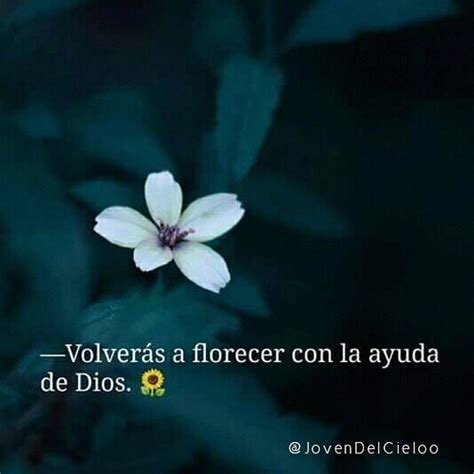 Salmos 92:12 🌴🌹El justo florecerá como la palmera;Crecerá como cedro en ...