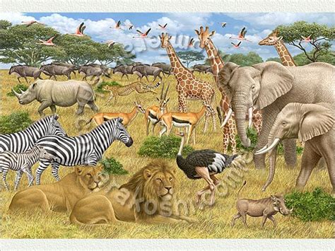 Animals of savanna, Animal Panorama, Ngorongoro, African Elephant, Grant's Zebra, Common Zebra ...