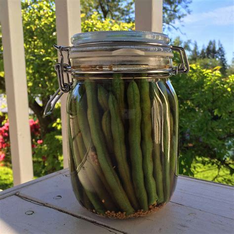 Dilly Beans (Pickled Green Beans) - The Daring Gourmet