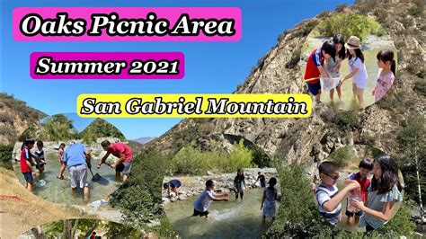 Oaks Picnic Area I San Gabriel Mountain Azusa River I Swimming I Hiking ...