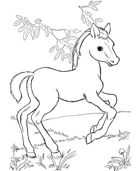 Free Printable Horse Coloring Pages For Kids