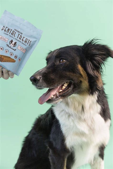 Dental Treats – Natural Dog Company