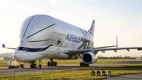 Beluga XL: The transporter beast that's shaped like a flying whale