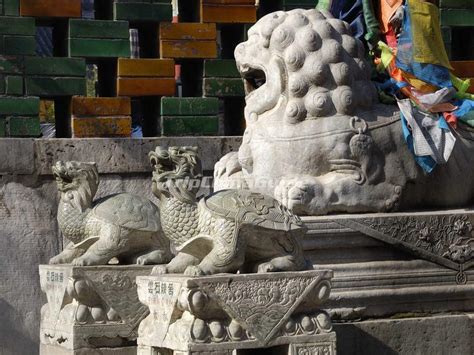 The Stone Statues in Beijing Lama Temple - Beijing Yonghe Temple Photos