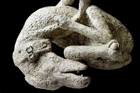 Pompeii - Dog in Agony. This dog was tied up and could not get away when Vesuvius blew ...