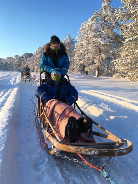 Top 5 Tips for Husky Sledding | Untravelled Paths