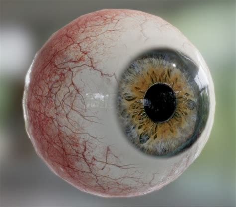 Realistic human eye iris 3D model - TurboSquid 1576059