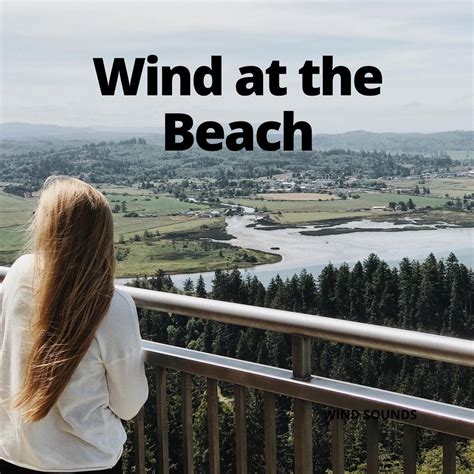 ‎Wind at the Beach - Single by Relaxation Channel, Beach Sounds ...