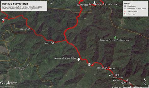 Survey areas in and around Maricao State Forest, 10 March 2017. | Download Scientific Diagram