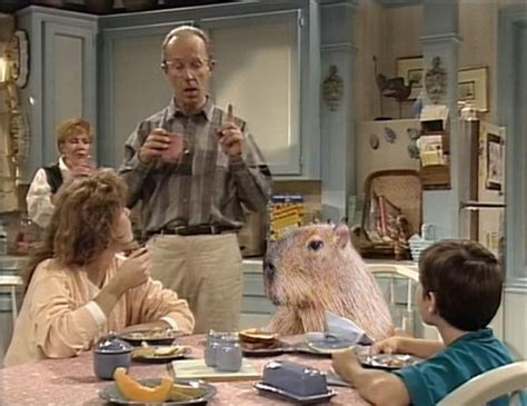 Anyone remembers this episode? : r/Alf