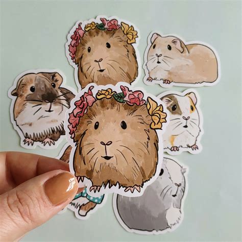 6 Guinea Pig Stickers Handrawn and a Perfect Gift for Guinea - Etsy