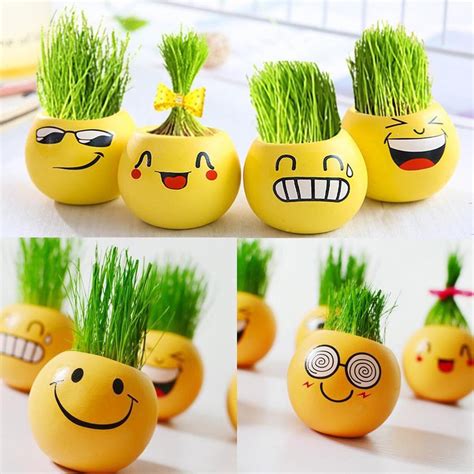 Smiley Emoji Grass In Pot Decoration (wheat grass)